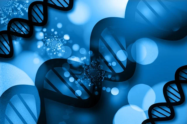 聚氨酯機械發泡專用硅油，通過改善發泡動力學平衡，助力生產超細微孔材料